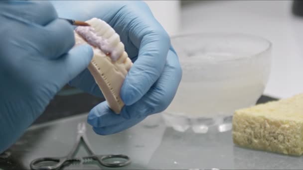 Implantatprotesen Färgas Med Borste Tandvårdslaboratoriet — Stockvideo