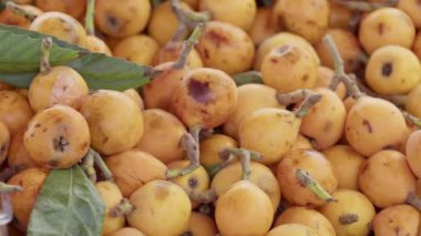 Birçok Yeni Ekin Mantığı Yığını Japon Medlar Pazar Stall Görüntülerinde.