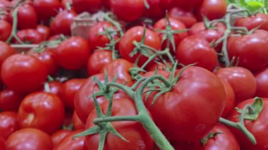 Renkli Organik Truss Domatesleri Yığını.