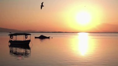 Denizdeki Balıkçı teknesinin üzerinde uçan martılar Güzel Sarı Gün batımı görüntülerinde.