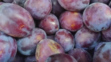 Taze Damsons Eriği Pazar Tezgahında Güneş Işığında Parıldıyor.