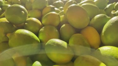 Markette Taze Limonlar Parıldıyor Muhteşem Doğal Güneş Işığı Görüntüleri.