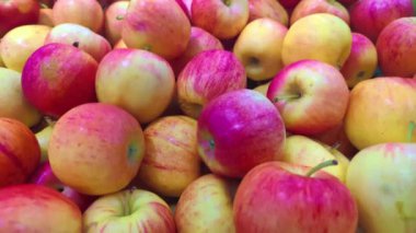 Piyasa Stall 'daki Yeni Sezon Kırmızı Elmalar Yığını.