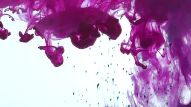 Suda sıçrayan ve etkileşen mürekkepleri yakın çekim ve yavaş çekim beyaz bir arkaplan üzerinde tüm kare boyunca yayılıyor.