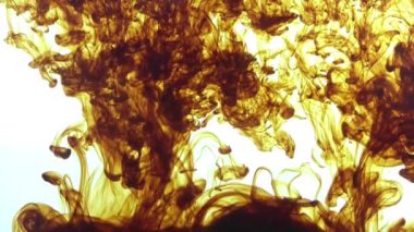 Suda sıçrayan ve etkileşen mürekkepleri yakın çekim ve yavaş çekim beyaz bir arkaplan üzerinde tüm kare boyunca yayılıyor.