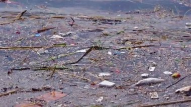 Plastik İnsan Atıkları Denizleri ve Dünyayı Çöp Döküntüsüne Çeviriyor.