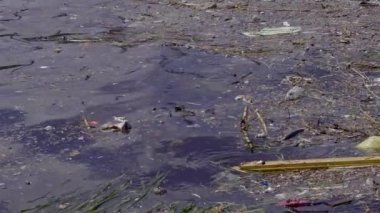 Okyanus ve Deniz Görüntülerinde Plastik ve Çöp Sorunu.