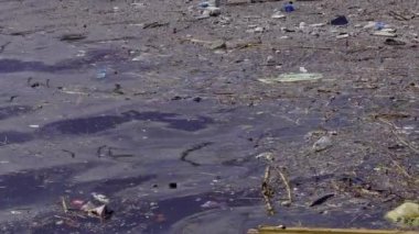 Kirli Deniz Suyu 'nda Çöp Yüzüyor.