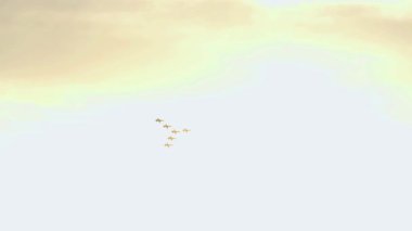 29 Ekim 2024 'te İzmir Cumhuriyet Günü' nde gösteri yapan Türk Yıldızları Hava Akrobatik Uçak Takımı.