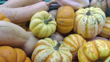 Cadılar Bayramı Balkabakları Pazar Stall Fooatge 'da Gün Bekliyor.