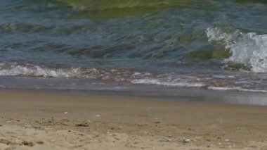 Okyanus Adası Sahili 'ne dalgalar çarpıyor..