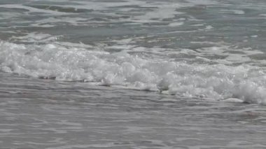 Deniz Sahili Sahili Dalgaları 'nda yaz..