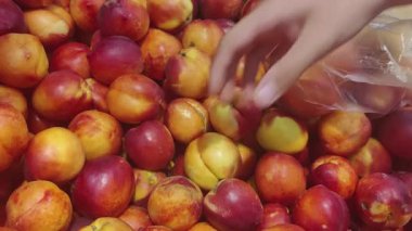 Bir Süpermarkette Nektarin ve Meyveler Seçmek ve Almak.