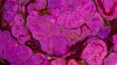 Renkli Sıvının Soyut Arkaplanı Doku Görüntüsünü Yayar.