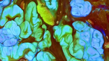 Soyut Renkli Boya Mürekkebi Patlama Psikedelik Patlama Görüntüsü.