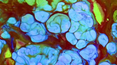 Soyut Renkli Boya Mürekkebi Patlama Psikedelik Patlama Görüntüsü.