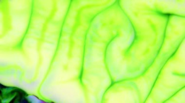 Bu video, yavaş çekimde yayılan koyu renkli boya karışımının aşırı yakın çekim görüntülerini içeriyor. Harmanlandıklarında, bu renkler hareketli grafiklerde bileşik element olarak kullanılabilecek güzel bir doku tasarımı oluştururlar..