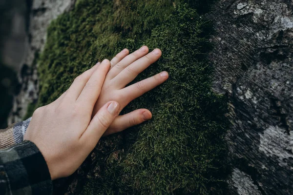 Saving planet, green generation environment conscious. Mother and daughter fingers gently touch tree bark covered in green lush moss at autumn day. Forest conservation, saving environment concept