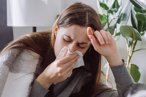 Weakened immune system concept. Close up of sick female seated sitting on couch in living room covered with plaid sneezing holding paper napkin blow out runny nose feels unhealthy, seasonal cold