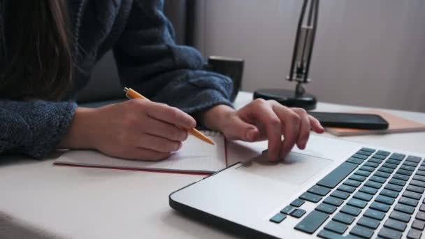 身边的年轻女性使用笔记本电脑 坐在舒适的沙发上 女性的手打字 写笔记 学习语言 早上查看电子邮件 在家工作 远程学习和教育概念 — 图库视频影像
