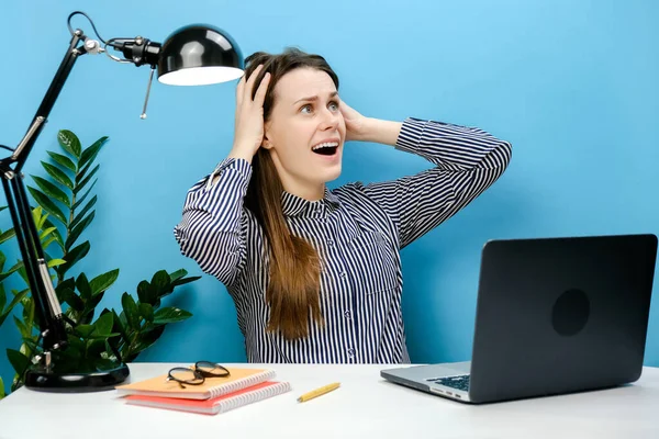 Troubled indignant confused employee young girl in shirt sitting work at white office desk with laptop hold head look aside scream, posing isolated on blue background wall in studio. Business concept