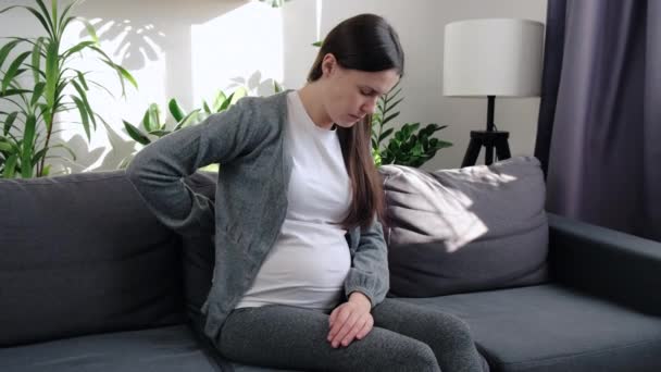 若い妊婦は 自宅のソファに座って腰痛に苦しんでいます 疲れていない女性は 脊髄の痛みを感じるか 赤ちゃんのバンプの重量から痛みがあります 健康問題の概念 — ストック動画