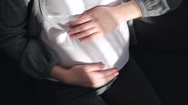 Κάτοψη Της Νεαρής Εγκύου Που Κάθεται Άνετο Καναπέ Χαϊδεύοντας Μεγάλη — Αρχείο Βίντεο