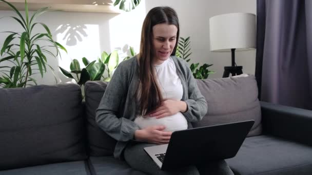 Smiling Attractive Young Pregnant Woman Talking Gynecologist Video Chat Laptop — Vídeos de Stock