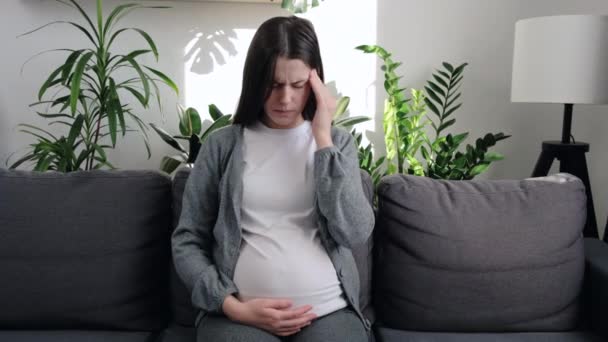 Young Pregnant Woman Headache Pain Sitting Grey Sofa Living Room — Video