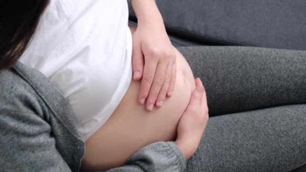 靠近孕妇坐在舒适的沙发上抚摸着她的腹部 享受着宁静 健康轻松的怀孕在家里放松一下 生育观念 — 图库视频影像