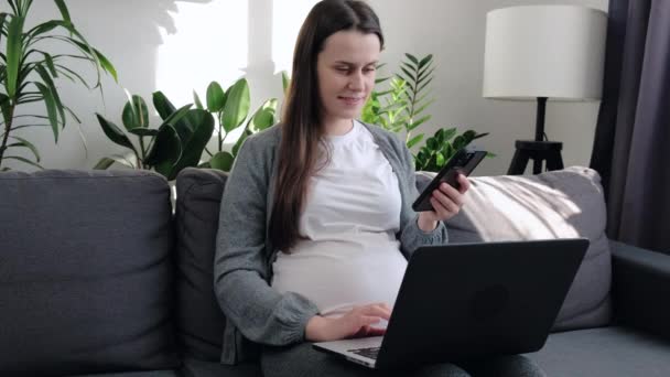 Glad Vacker Ung Gravid Kvinna Sitter Mysig Soffa Med Laptop — Stockvideo