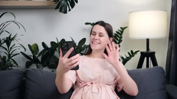 Smiling Young Pregnant Woman Dress Sit Sofa Holding Cell Phone — Video