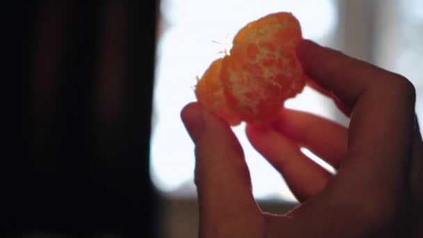 Крупним Планом Жіночі Руки Тримають Невеликий Свіжий Шматочок Мандарина Тлі — стокове відео