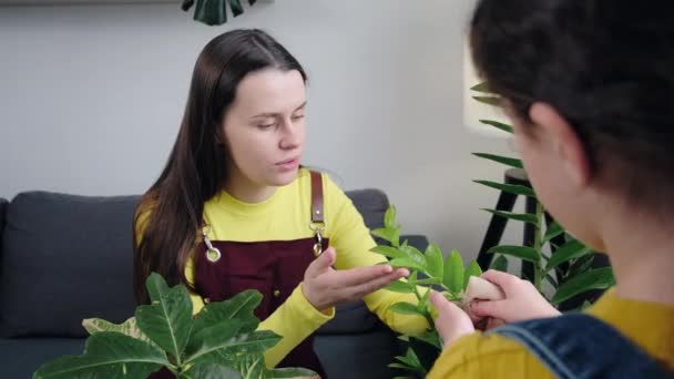 Tuinieren Huisvrouw Huishouden Klusjes Concept Thuis Hobby Liefdevolle Familie Groeiende — Stockvideo