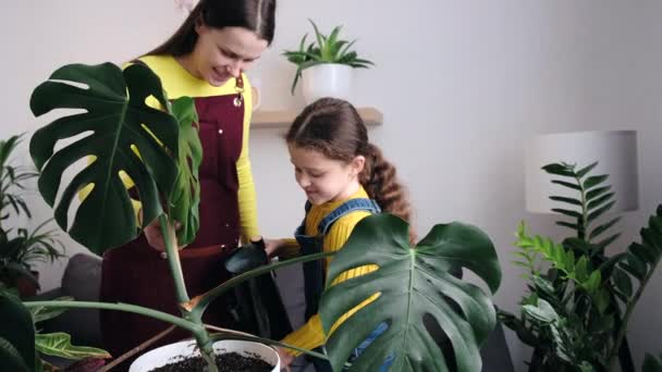 Pretty Small Child Girl Holding Watering Can Water House Plant — Stok Video