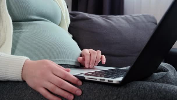 Close Pregnant Young Woman Sit Cozy Sofa Working Home Typing — Stok video