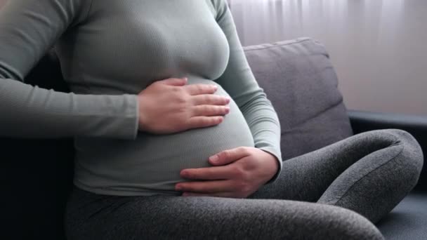 Close Young Pregnant Woman Sitting Comfortable Sofa Puts Palms Big — Wideo stockowe