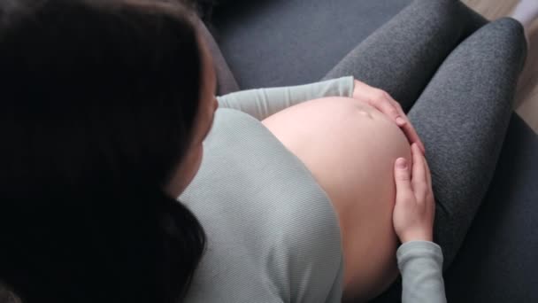 Vista Lateral Joven Mujer Embarazada Sentada Cómodo Sofá Casa Acaricia — Vídeo de stock