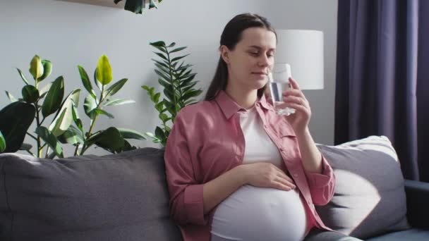 毎日の健康習慣を楽しんで脱水を防止し 大きな腹を撫で 新鮮な純ミネラルウォーターのソファ飲料ガラスの上に座って幸せな平和な若い妊婦 健康的な妊娠の概念 — ストック動画
