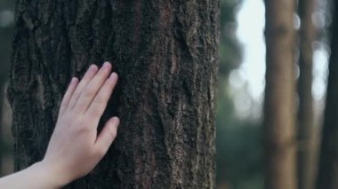 Doğayı hissetmek ve ona bağlanmak. İlkbaharda ya da yaz aylarında, ormanın içinde bir ağacın kabuğuna dokunup okşayan dişi elini kapat. Doğayı sevmek. Ahenk sakin rahatlama. Dünya yeşil gezegenini kurtar