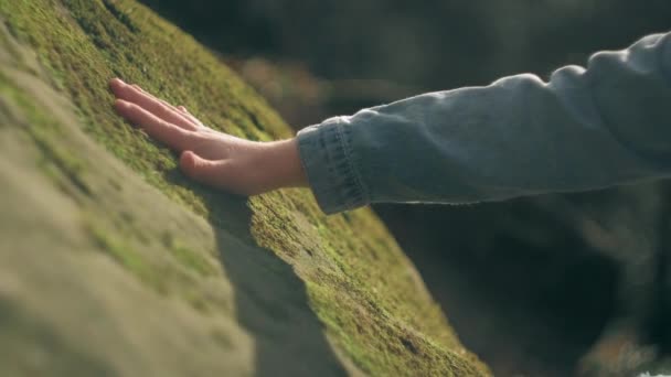 Close Kid Hand Touches Gently Rock Overgrown Green Moss Dense — Stock Video