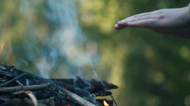 Yazın Veya Ilkbaharda Kamp Ateşinin Yanında Elleri Isıtan Tanınmamış Genç — Stok video