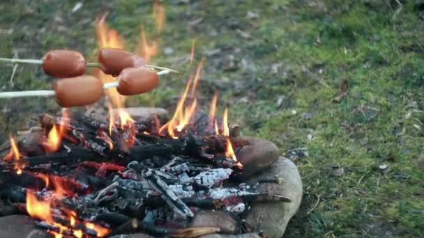 Close Roast Sausage Campfire Sliced Sausages Fast Dinner Camping Countryside — Stock Video