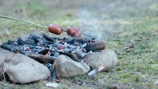 Kiełbaski Plasterkach Szybki Kemping Wsi Hot Dogi Przy Małym Ognisku — Wideo stockowe