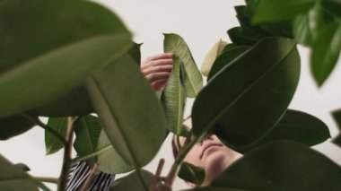 Çiçekçi genç kadın yaprakları kontrol ediyor, bahçe işçisi yeşillikleri inceliyor. Küçük bir dükkanda çalışan kadın botanikçi, bitkilerle, yeşillik kalite kontrolüyle ve bahçıvanlıkla ilgileniyor. Bahçe kavramı