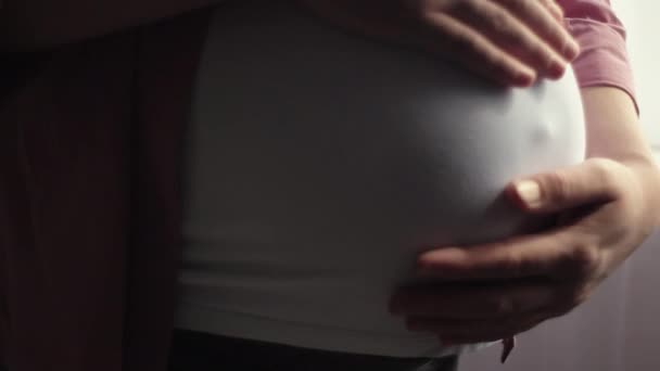 Заботливая Беременная Женщина Чувствует Себя Счастливой Дома Заботясь Своем Ребенке — стоковое видео
