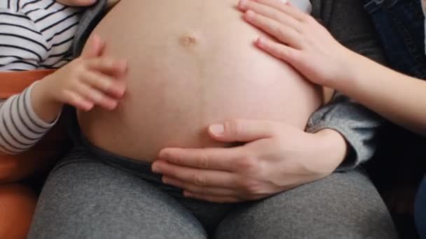 Close Unrecognizable Pregnant Woman Sitting Sofa Two Little Daughters Kids — Stock Video
