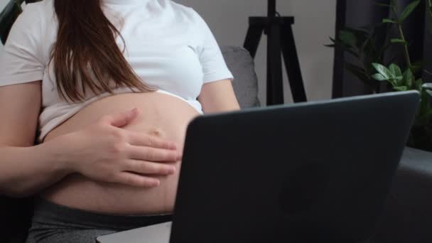 Permiso Maternidad Primer Plano Joven Freelancer Embarazada Sentada Acogedor Sofá — Vídeo de stock