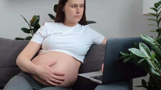 平静迷人的年轻孕妇坐在舒适的沙发上 从家里工作 在笔记本电脑上大肚子打字 使用网络应用 上网购物 看医生 自由的概念 — 图库视频影像