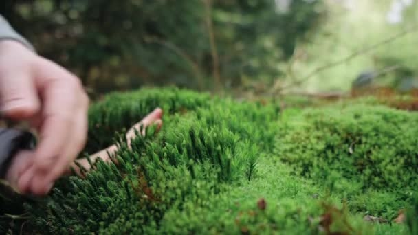 拯救地球 绿色环保意识强 在春夏平静的日子里 母亲和女儿的手牵手轻轻地触摸着青翠的苔藓 森林养护 拯救环境概念 — 图库视频影像